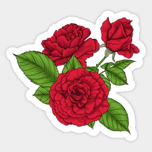 Bouquet of red roses Sticker